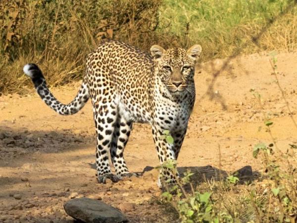 Women only safari in Tanzania