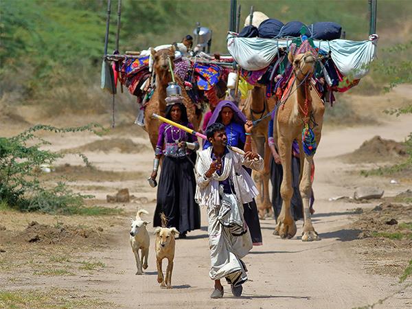 Gujarat and Rajasthan vacation