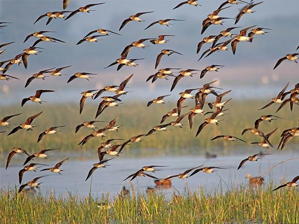 Gujarat and Rajasthan vacation
