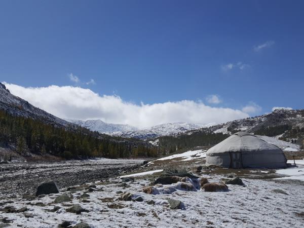 Mongolia vacation with eagle hunters