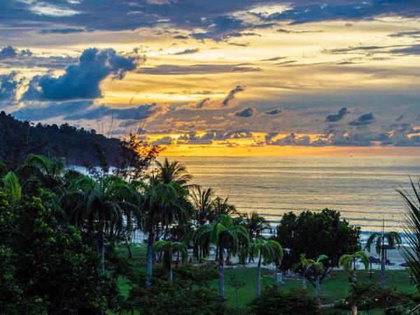 Borneo tour, Great Apes and Beach escapes