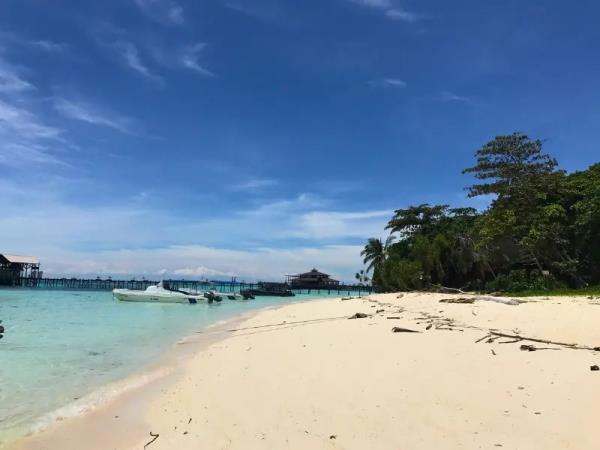 Borneo tour, Great Apes and Beach escapes