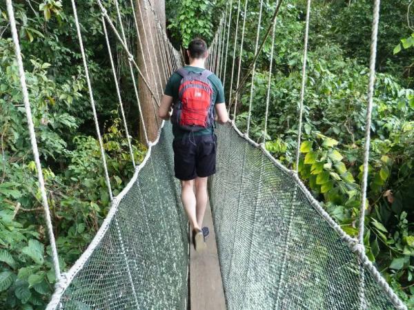 Borneo tour, Great Apes and Beach escapes