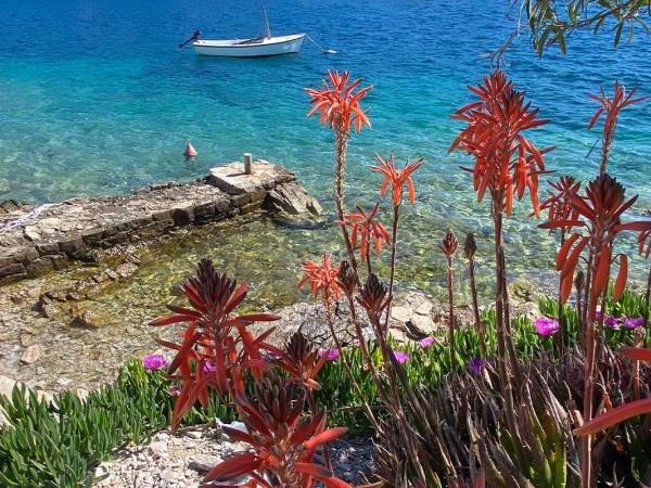 Active vacation in Trogir, Croatia