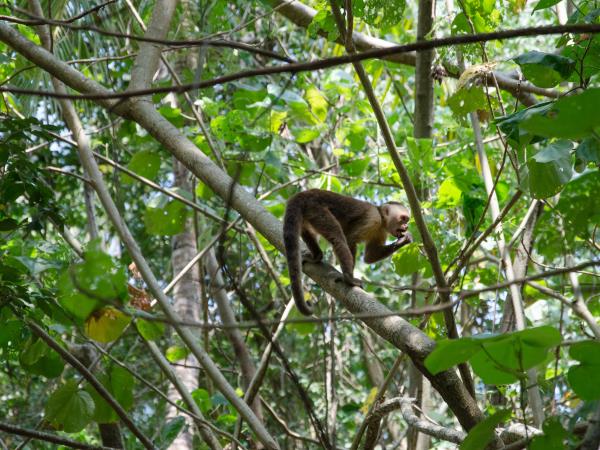Colombia trekking vacation, hidden Colombia
