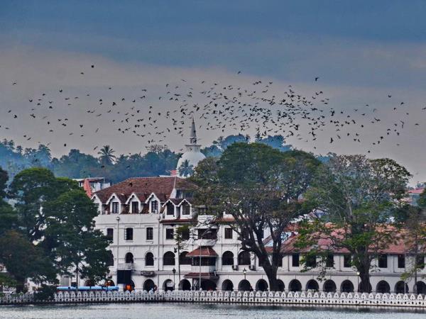 Sri Lanka vacation, island explorer