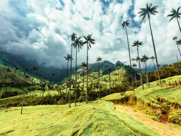 Private tour of Colombia