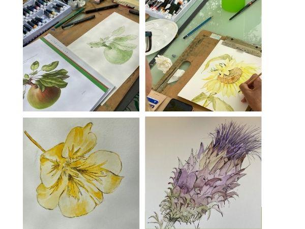 Botanical painting & yoga vacation, Portugal