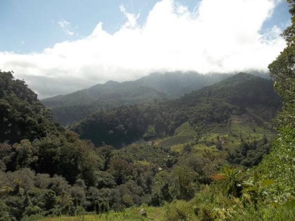 Costa Rica and Panama vacation