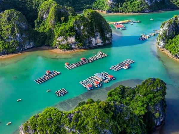 Halong Bay cruises, 2 day cruise, Vietnam