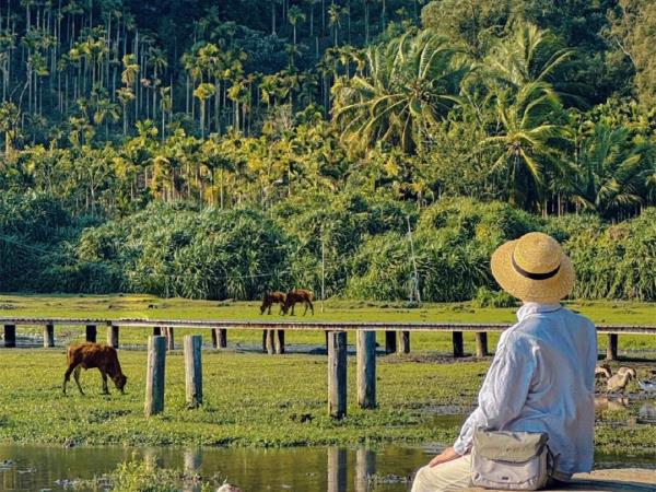 Hainan biking and hiking tour in China