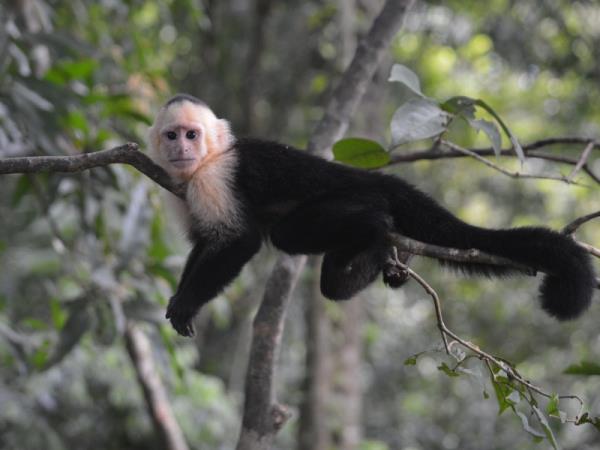 Costa Rica family vacation with teens