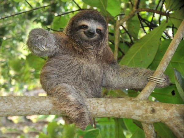 Costa Rica family vacation with teens