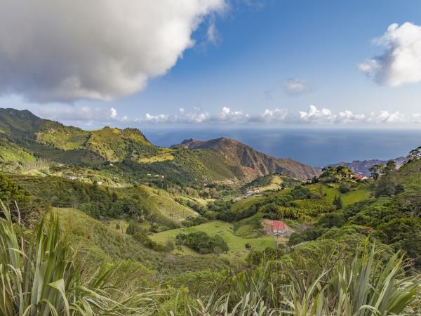 St Helena tour, small group