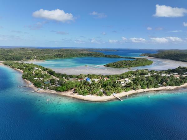Swim with humpback whales, Tonga