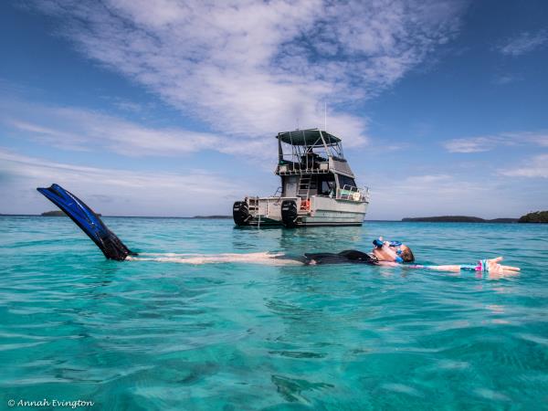 Swim with humpback whales, Tonga