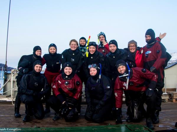 Swim with orcas in the Norwegian fjords