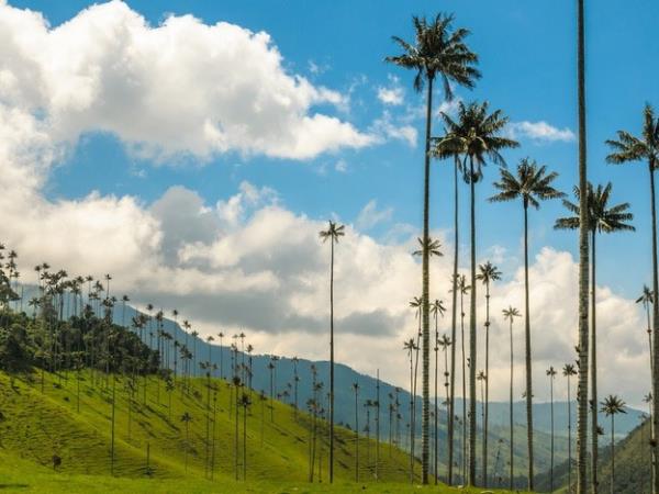 Colombia slow travel vacation