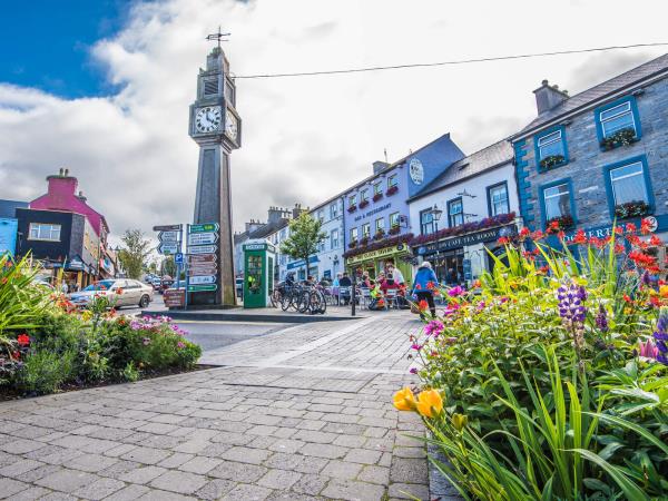 Ireland Wild Atlantic Way EV self drive vacation