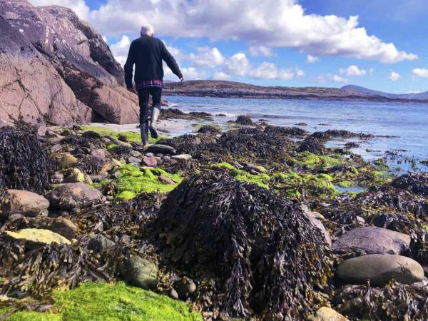 Ireland Wild Atlantic Way EV self drive vacation
