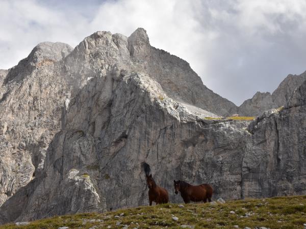 Montenegro hiking vacation