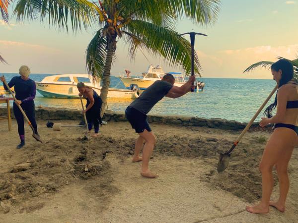 Sea turtle conservation, Belize