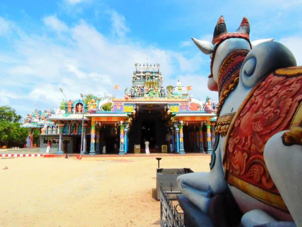 Sri Lanka family tours