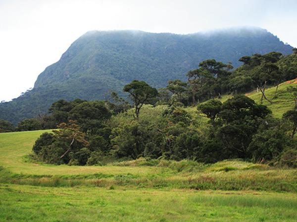 Western Ghats and Sri Lanka bird watching Holidays