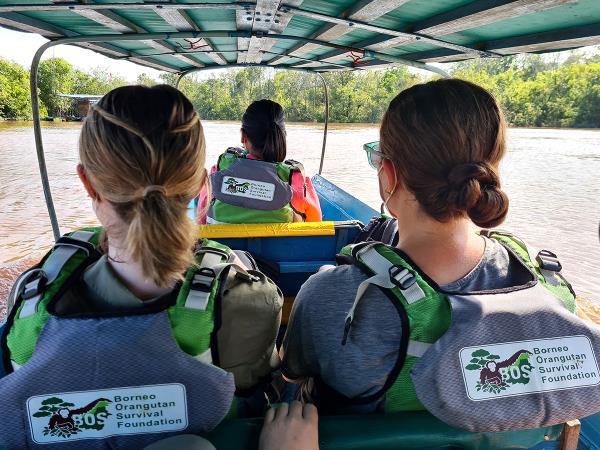 Orangutan sanctuary volunteering in Borneo