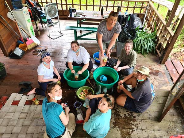 Orangutan sanctuary volunteering in Borneo