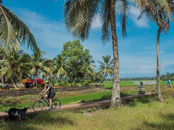Chennai Traffic Free Cycling Near Me 2025 Village Bicycle Day Tour