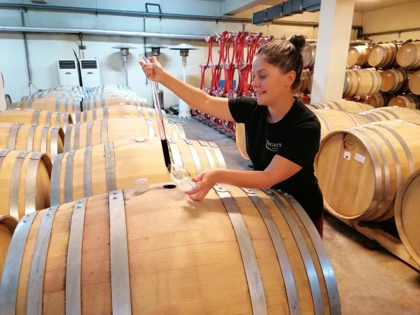 Wine and culture in Bulgaria vacation