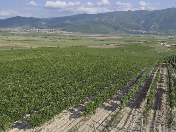 Wine and culture in Bulgaria vacation
