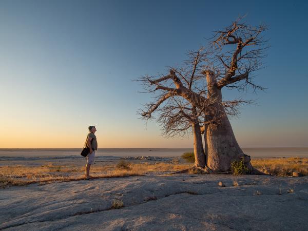 Trans Kalahari camping safari, Botswana