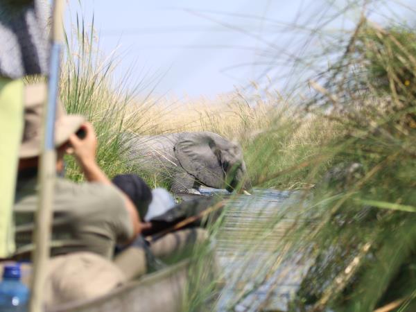 Botswana National Parks safari holiday