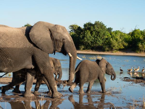 Botswana small group lodge safari
