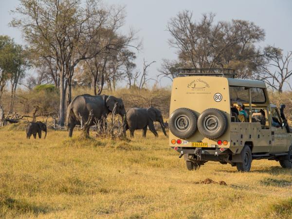 Botswana safari and wild camping