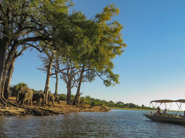 Botswana safari and wild camping