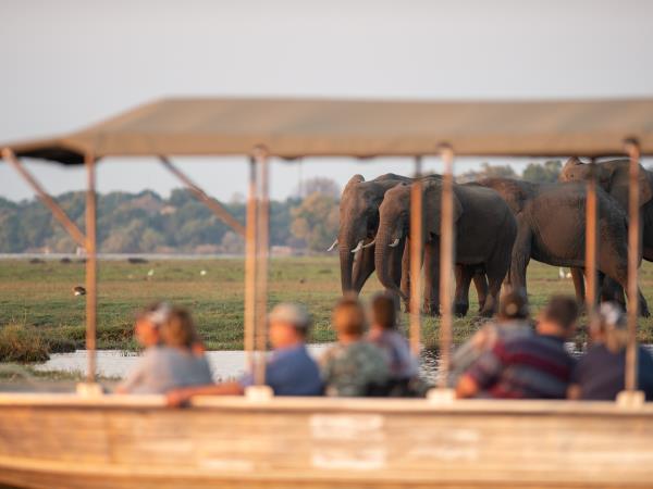 Cape Town to Victoria Falls small group lodge tour