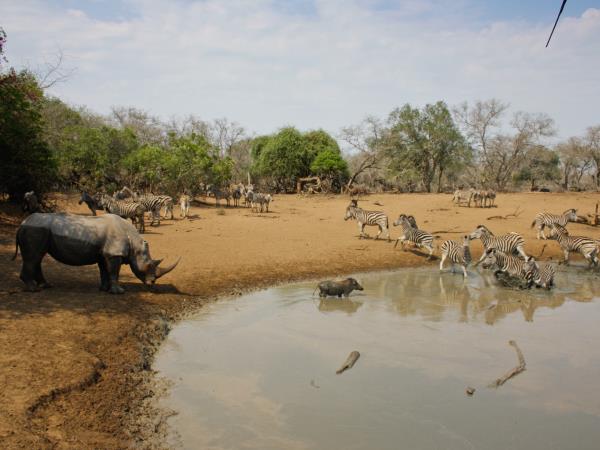 Mozambique, Zululand & beach small group safari