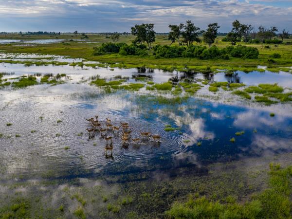 Namibia and Botswana safari holiday