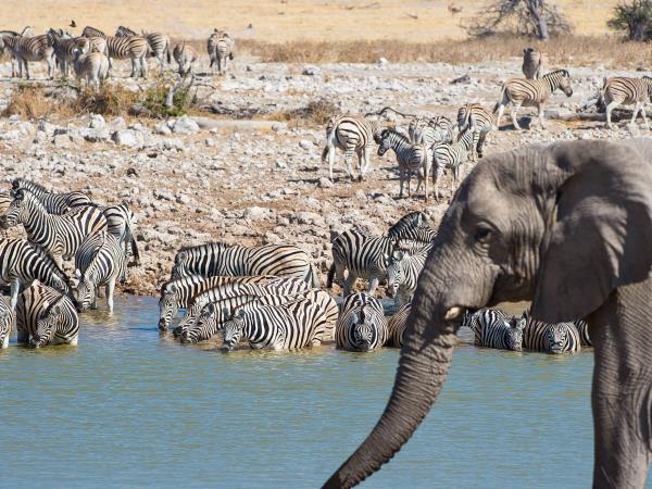 Namibia and Botswana safari holiday