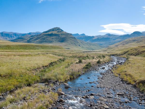 South Africa and Swaziland safari