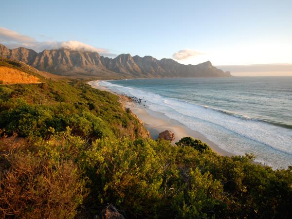 South Africa and Swaziland safari