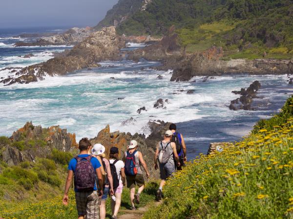 South Africa and Swaziland safari