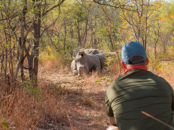 Zambia and Zimbabwe adventure vacation
