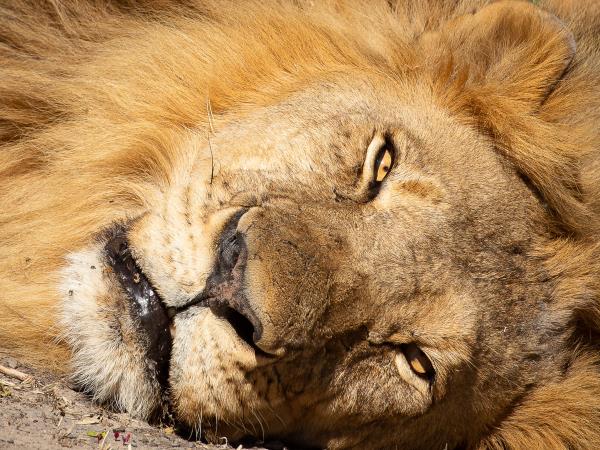 Zambia and Zimbabwe adventure vacation