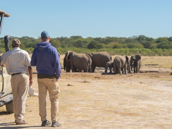 Camping safari in Southern Africa