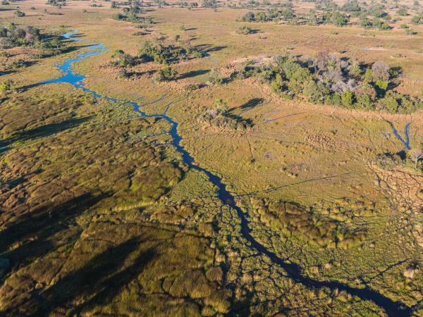 Zimbabwe & Botswana game tracker safari