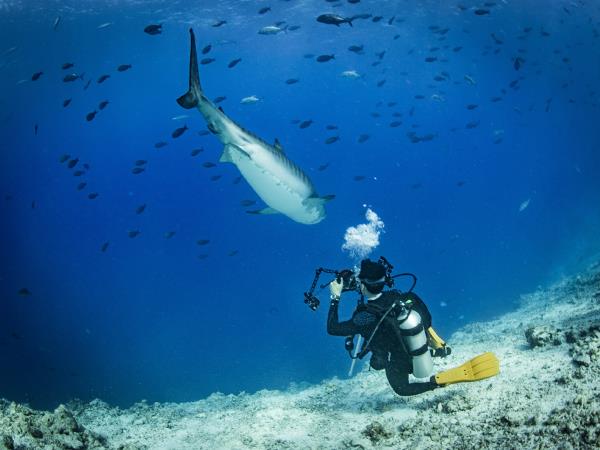 Maldives scuba diving vacation
